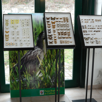Museo naturalistico del Parco